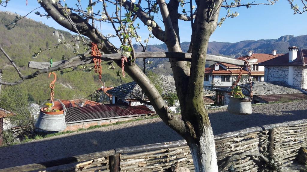 Semana Guesthouse Vrata Exterior photo